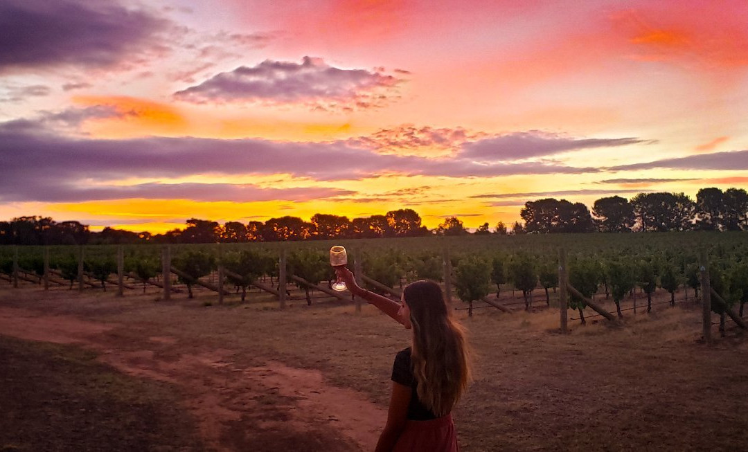 Anderson Winery景点图片