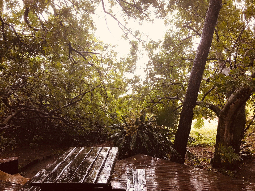 Chantilly Resort主图