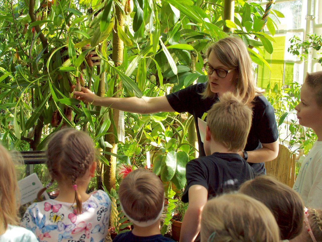 土尔库旅游景点-Turku University Botanical Garden