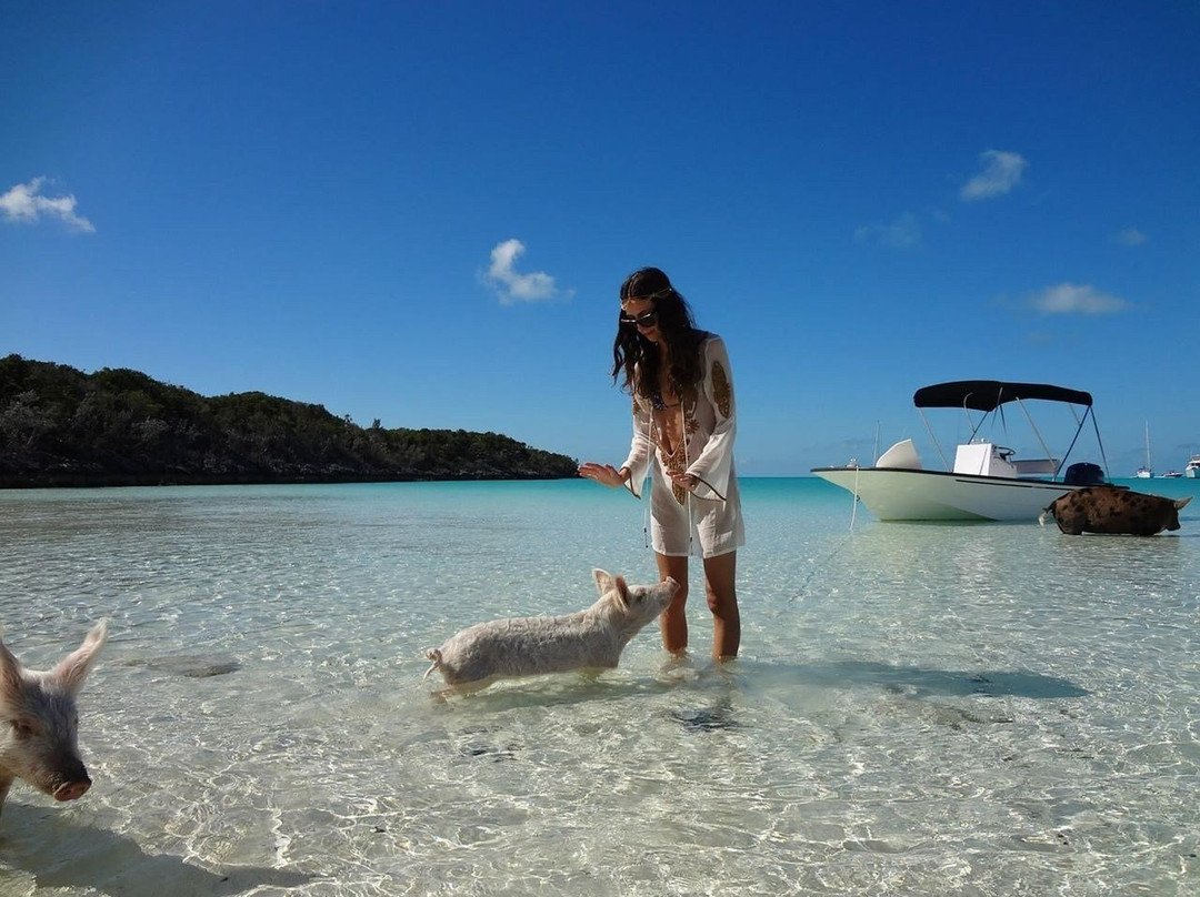 L&C Island Rentals-斯丹尼尔岛必去景点