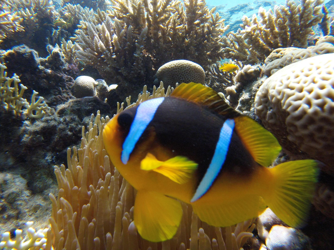 Got Your Guides-马卡迪湾必去景点
