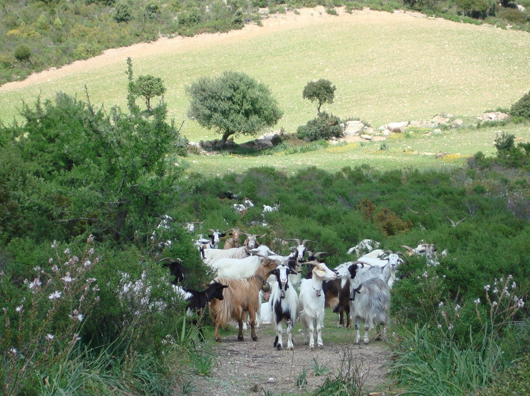 Tomba dei Giganti di Barrancu Mannu-Santadi必去景点