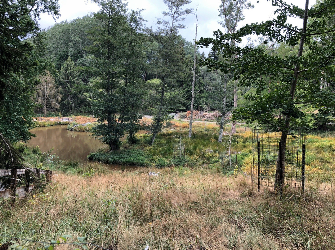 Taitua Arboretum-汉密尔顿必去景点