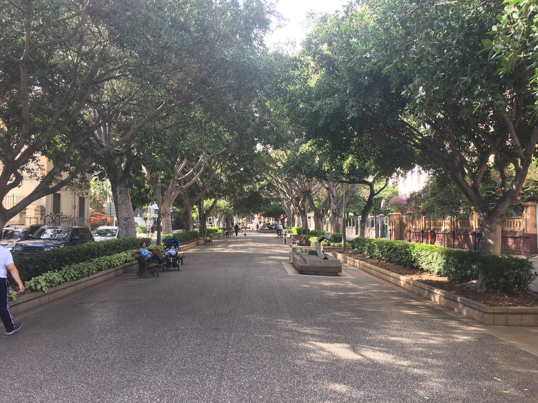 Rambla de Santa Cruz景点图片