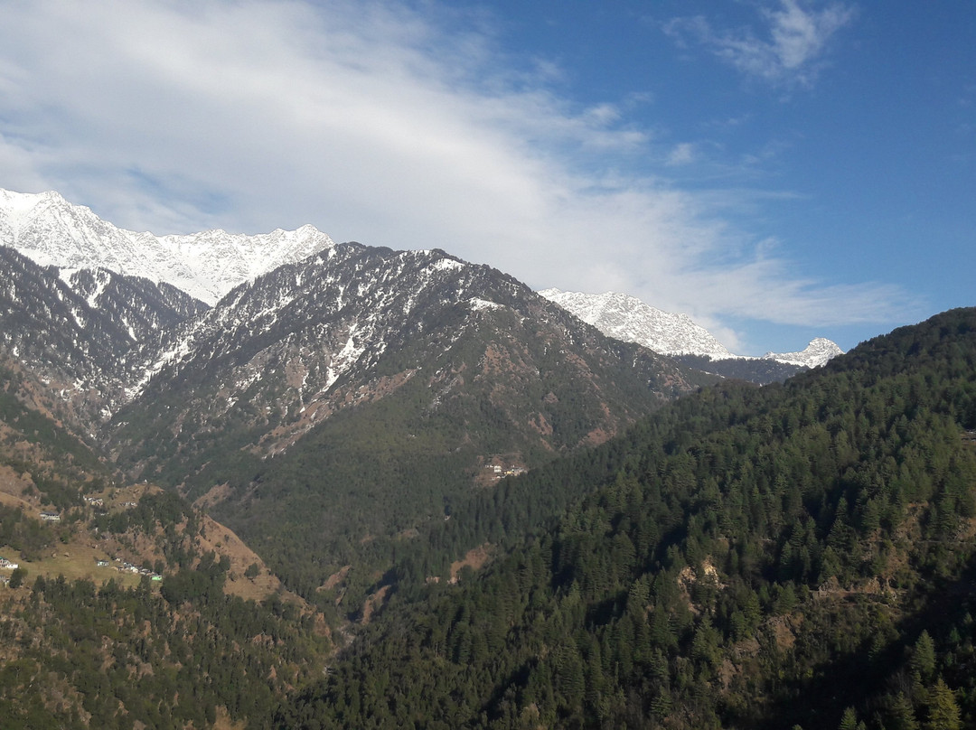 M Hotel & Restaurant主图