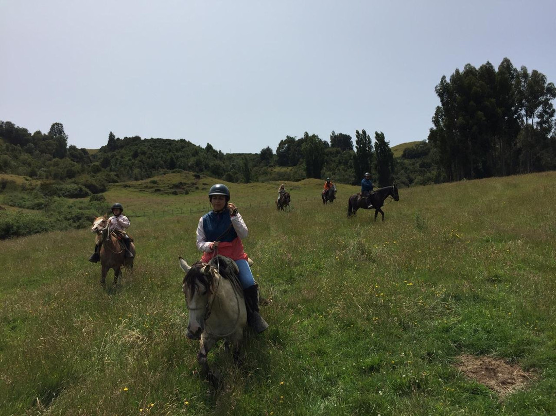 Rancho Pullao-Castro必去景点