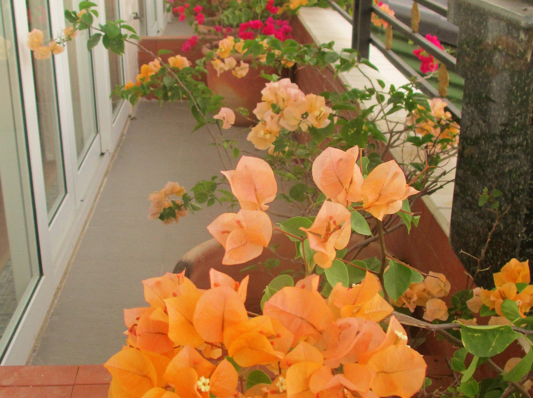 Anh Dao Mekong 2主图