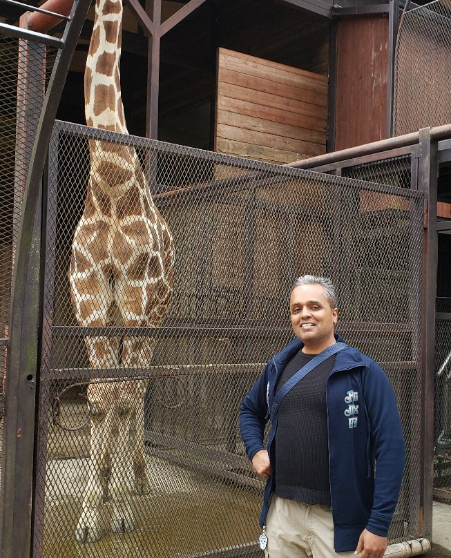 Sayuri World-市原市必去景点