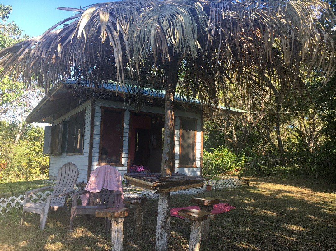 Treetops B&B Inn主图