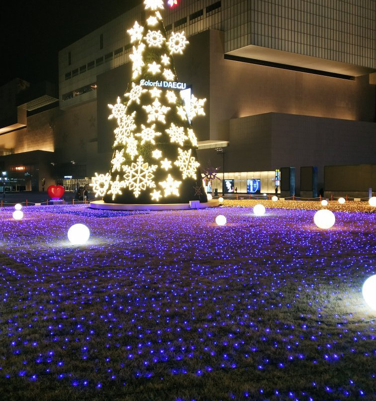 Daegu Duryu Park-大邱必去景点