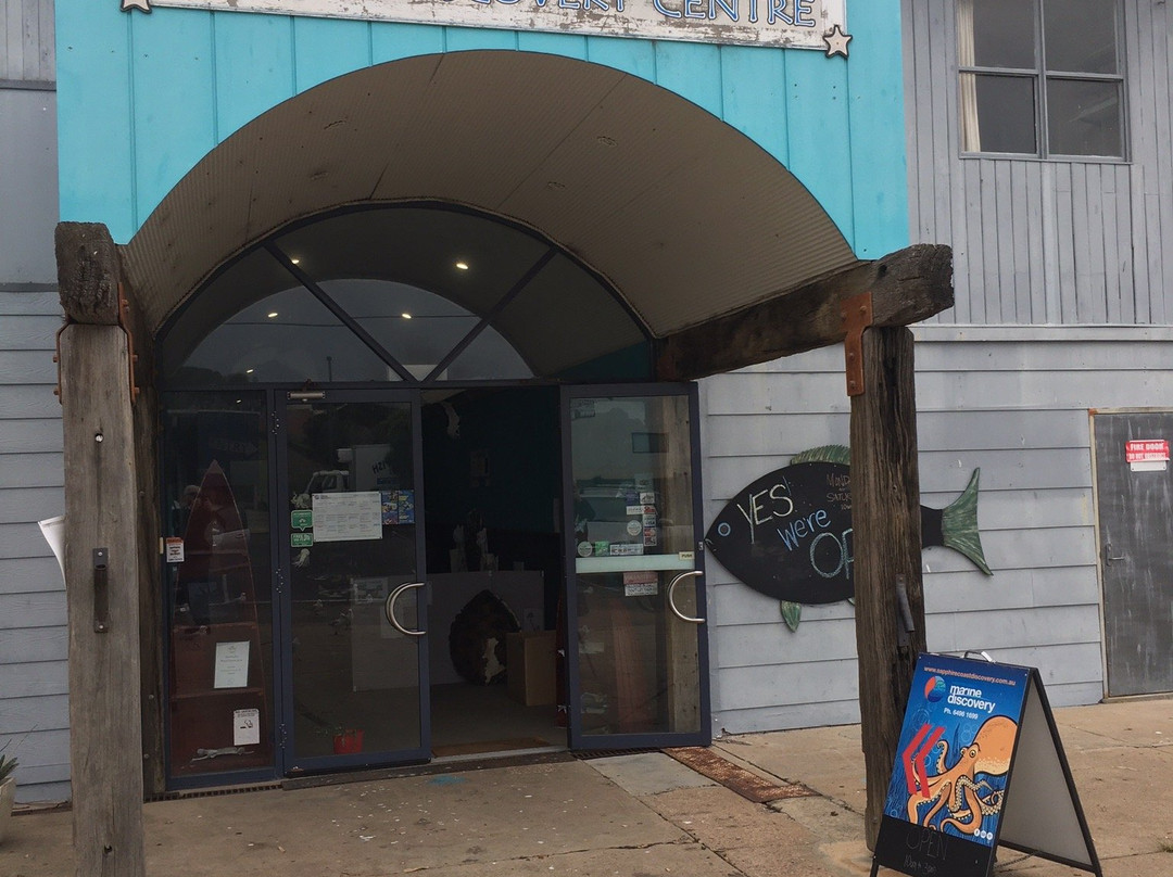 Sapphire Coast Marine Discovery Centre-伊登港必去景点