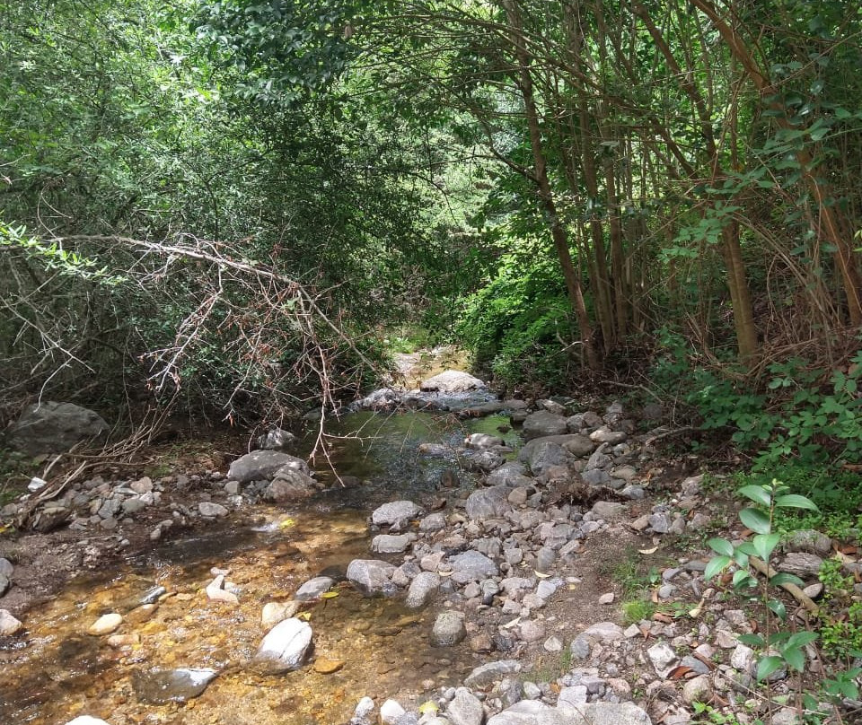 Cascada de Los Helechos景点图片