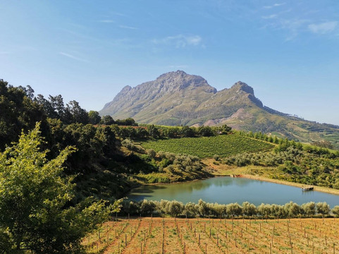 Basewent-斯泰伦博斯必去景点