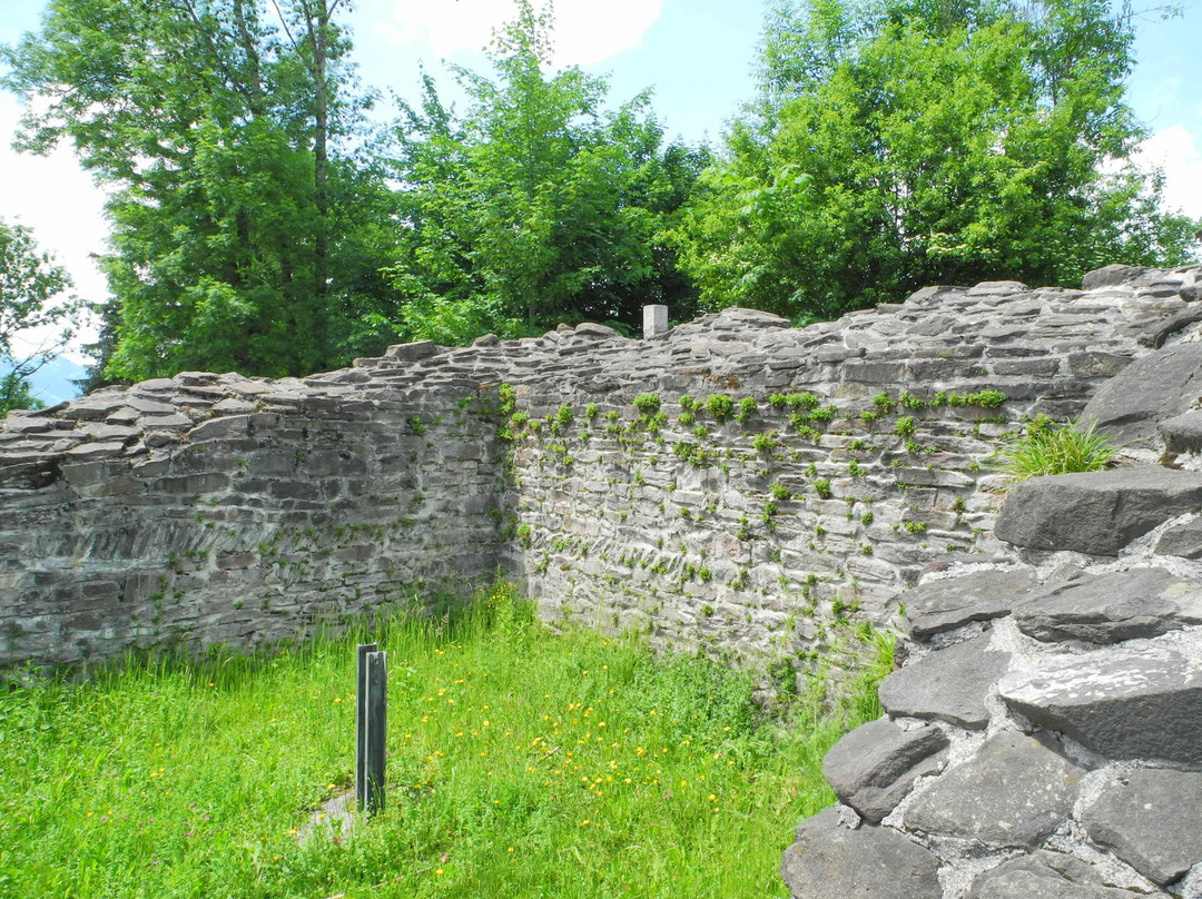 Burgruine Hopfen Am See景点图片