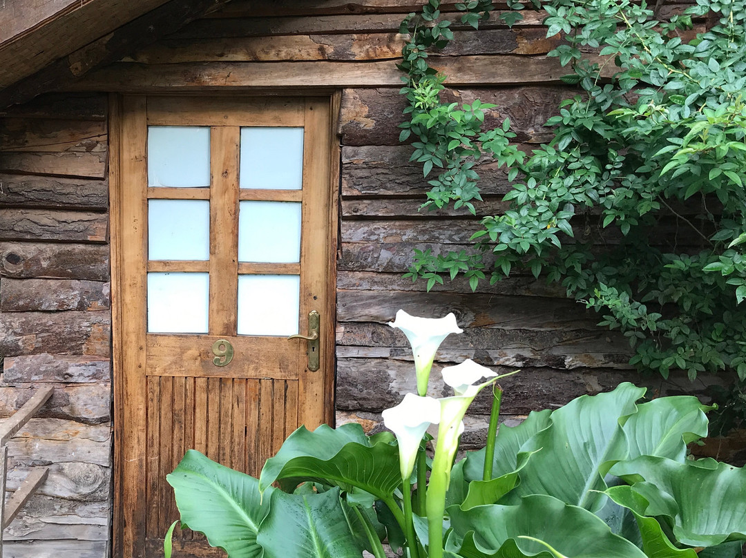 Ruwenzori View Guest House主图