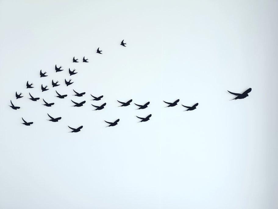 TOI Gallery-奥克兰必去景点