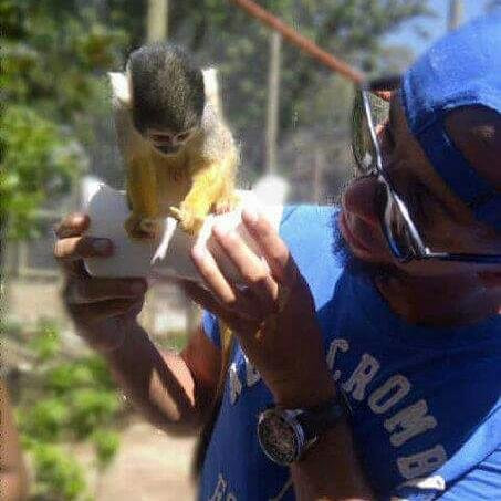 Monkey Town Primate Centre-西索美塞必去景点