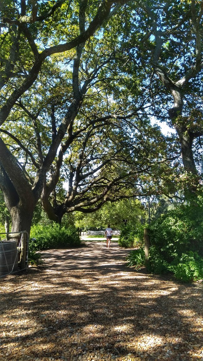 Natte Valleij Farm-官方