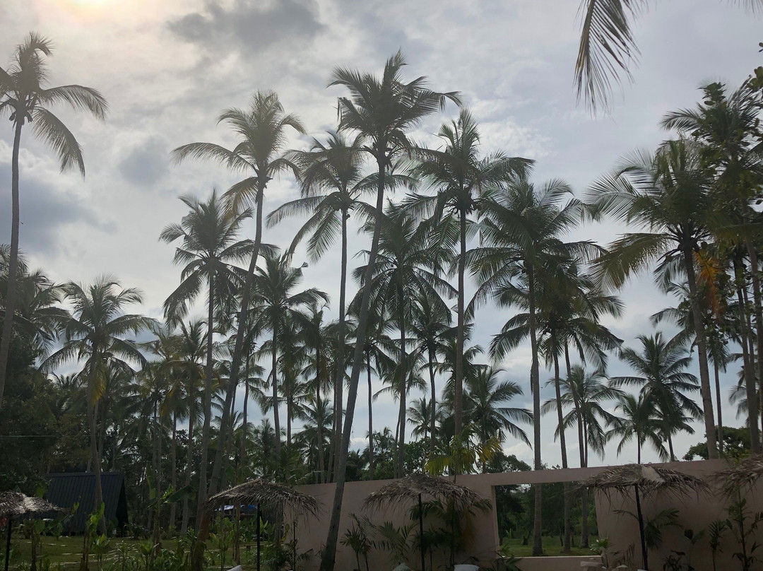 Palm Hotel Sri Lanka主图