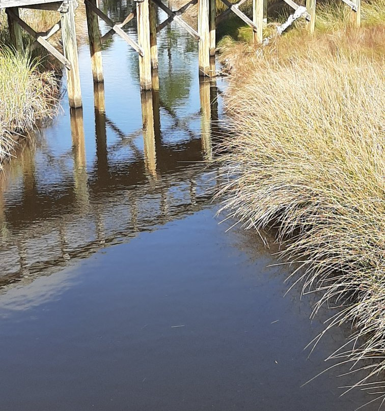Wade Ward Nature Park-格尔夫海岸必去景点