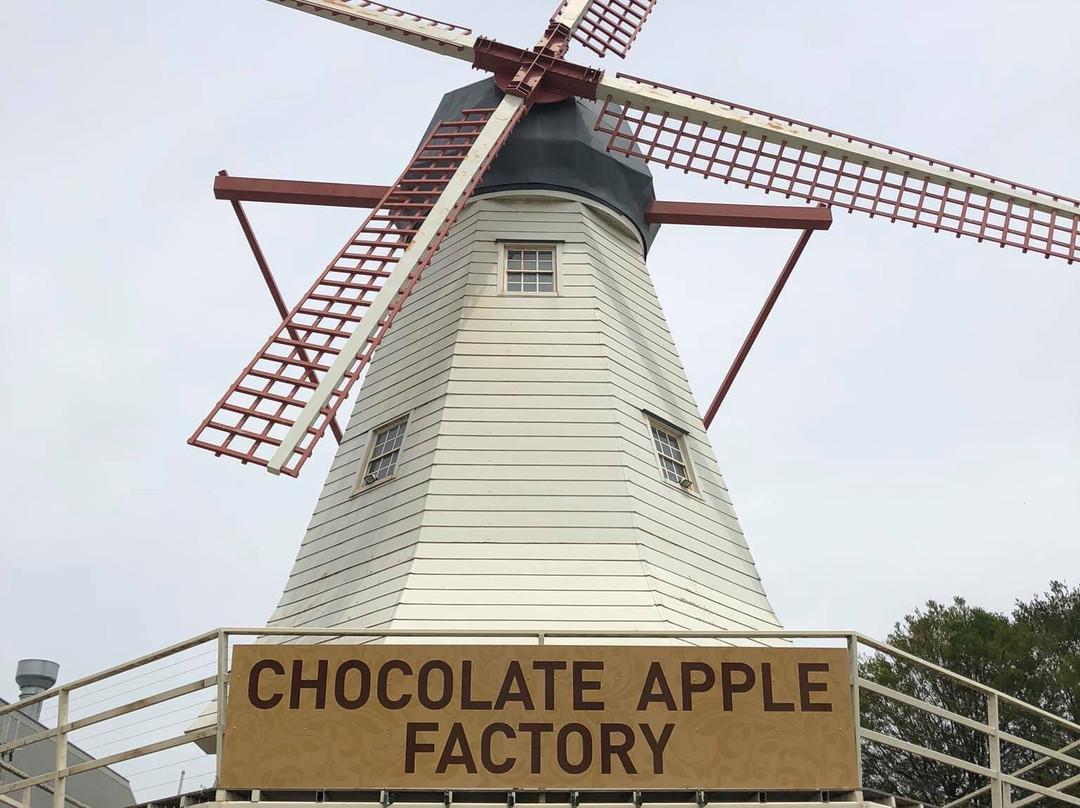 Chocolate Apple Factory-Kialla必去景点