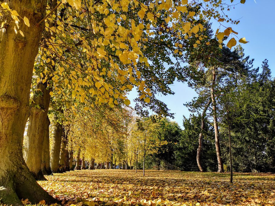 People’s Park景点图片