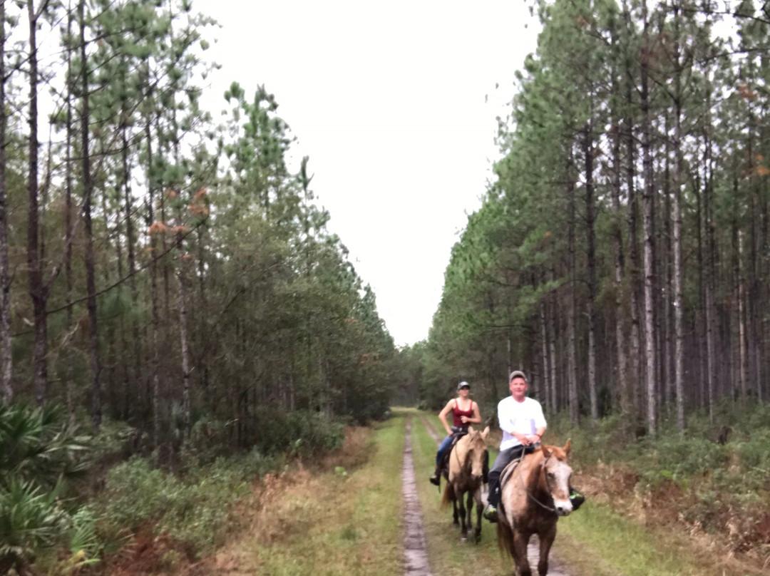 Deep Creek Stables-Pierson必去景点