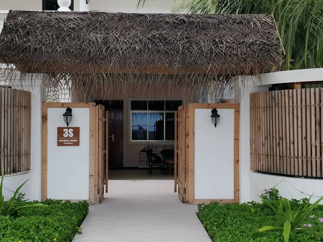 3S Divers Home主图