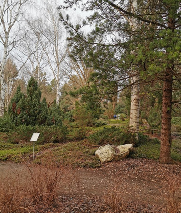 Forstbotanischer Garten-科隆必去景点