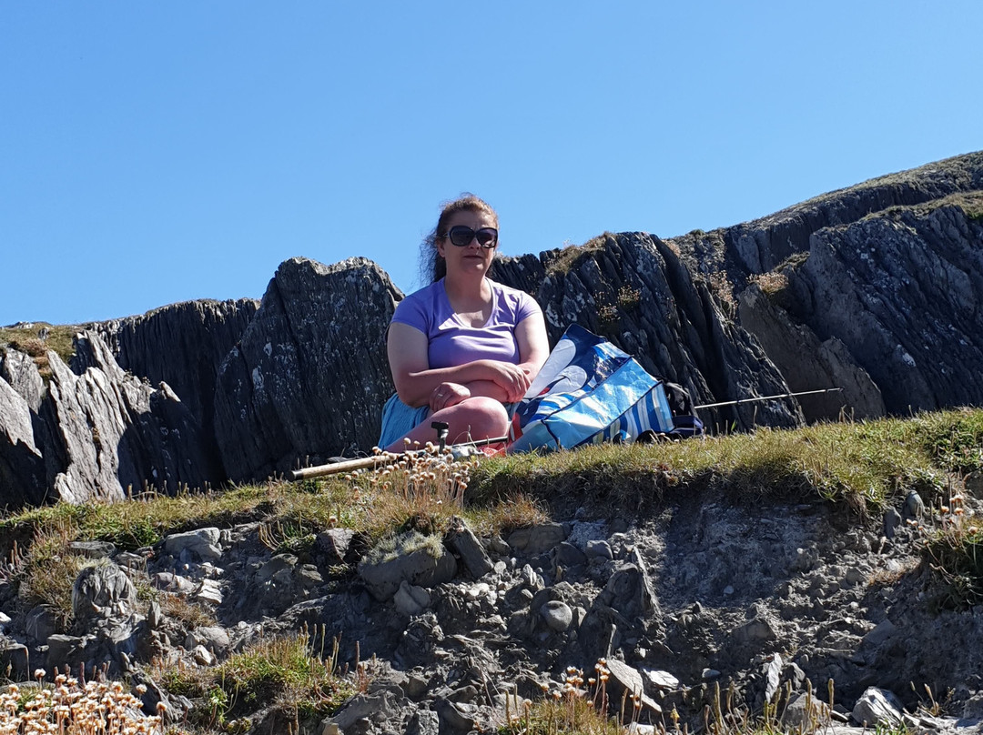 Dromagowlane House主图