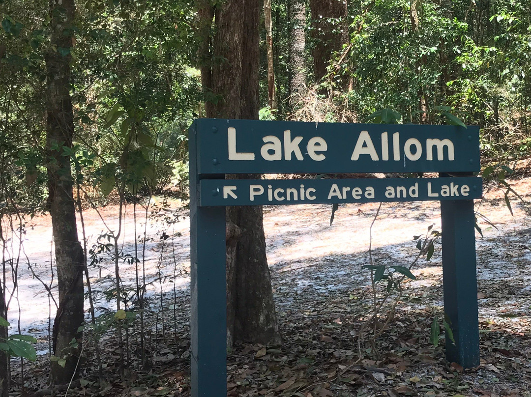 Lake Allom景点图片