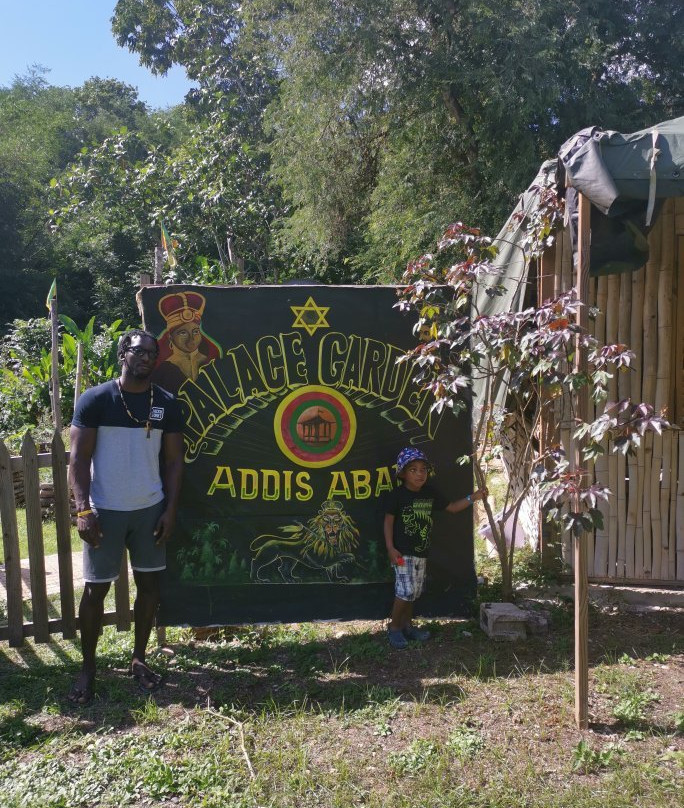 Rastafari Indigenous Village景点图片