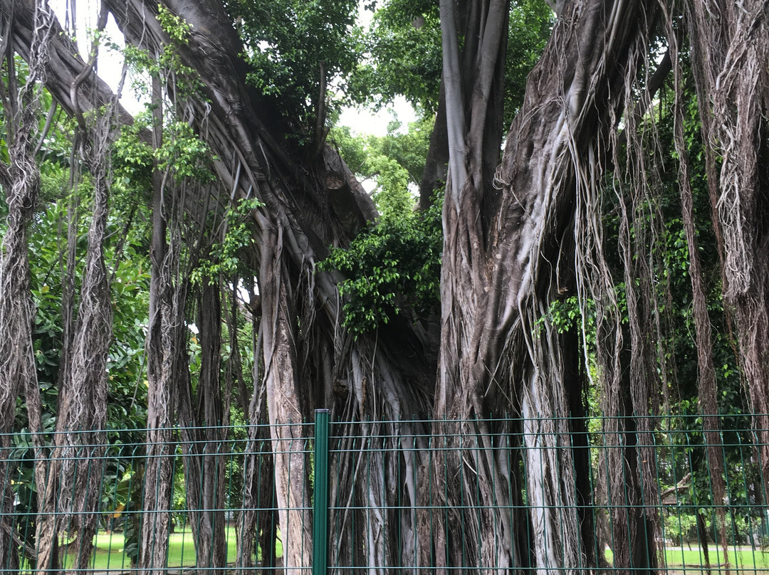 Assemblee De La Polynesie Francaise景点图片