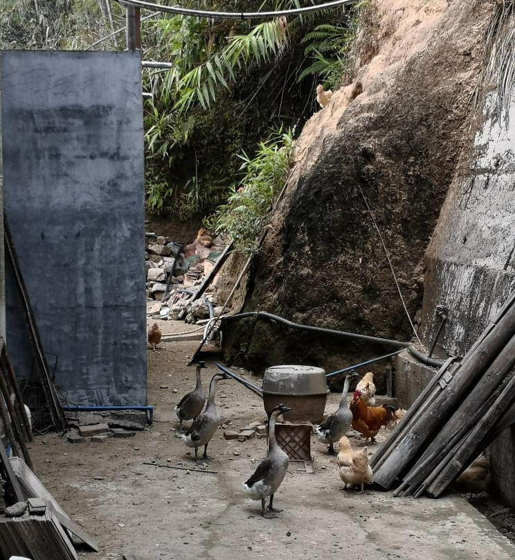 南昆山-龙门县必去景点