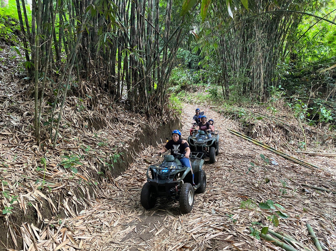 Bali Taro Adventure-乌布必去景点