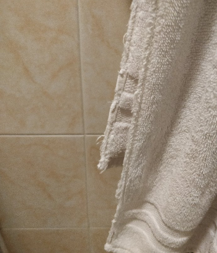 Splash Inn Nuevo Vallarta主图