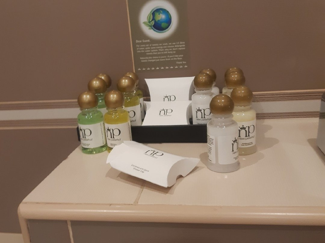 新彼得霍夫酒店主图
