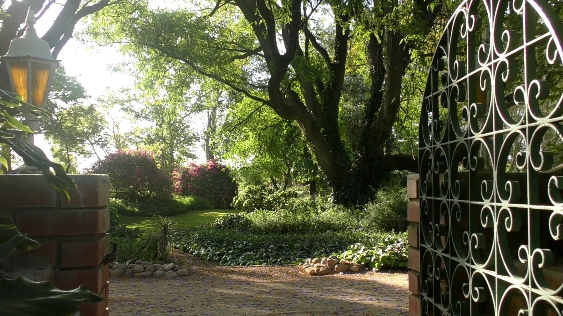 Lupus Den Country House-酒店景观