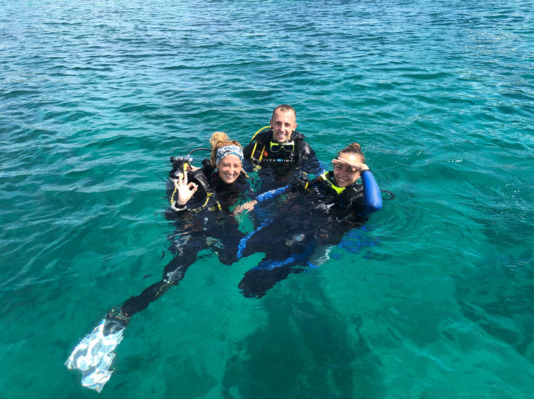 Fun & Sun Dive Travel景点图片