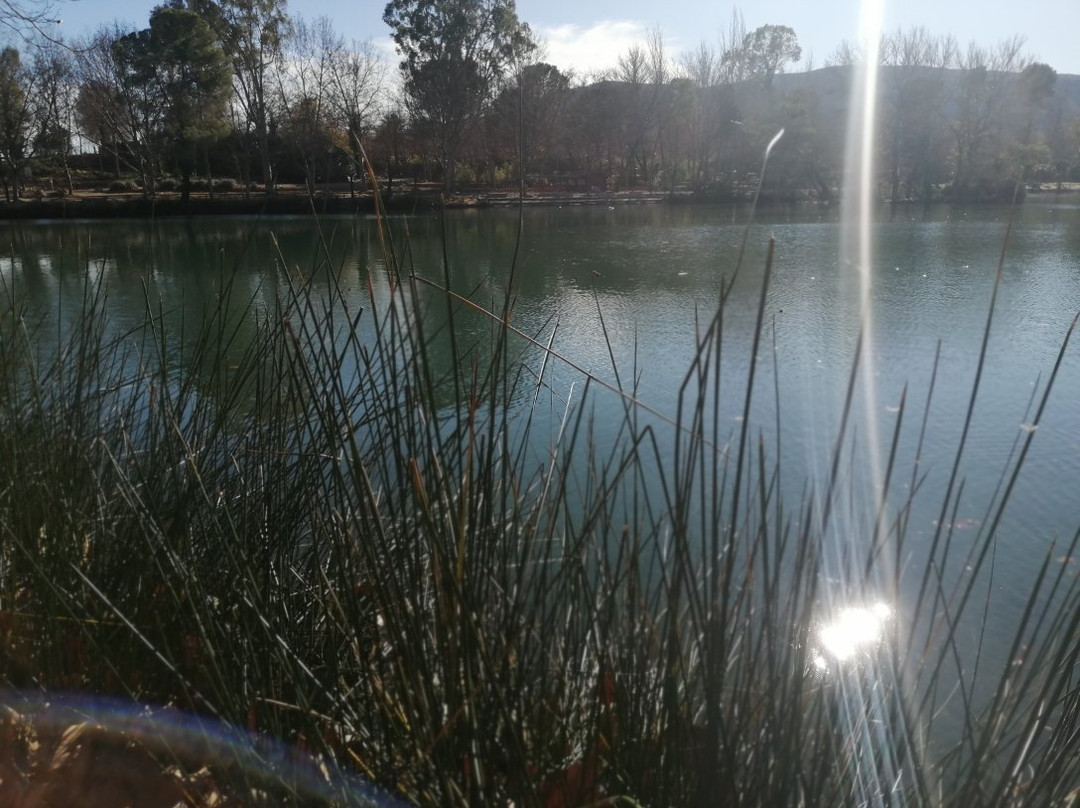 Albufera de Anna景点图片
