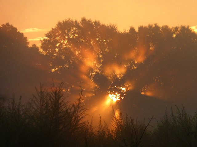 JR Alford Greenway Trail-塔拉哈西必去景点