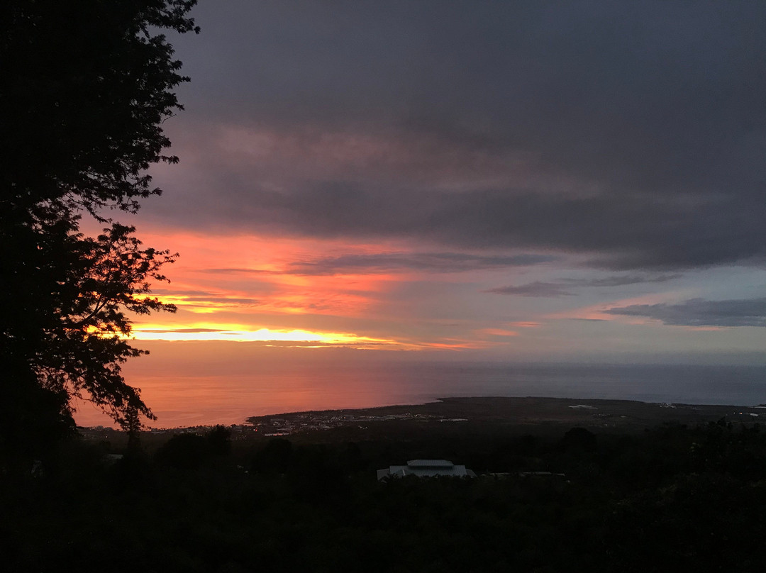 丽丽科伊客栈主图