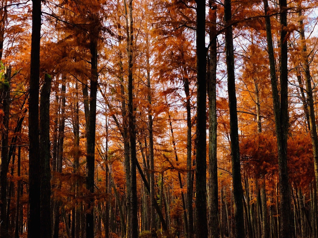 四明湖-余姚市必去景点