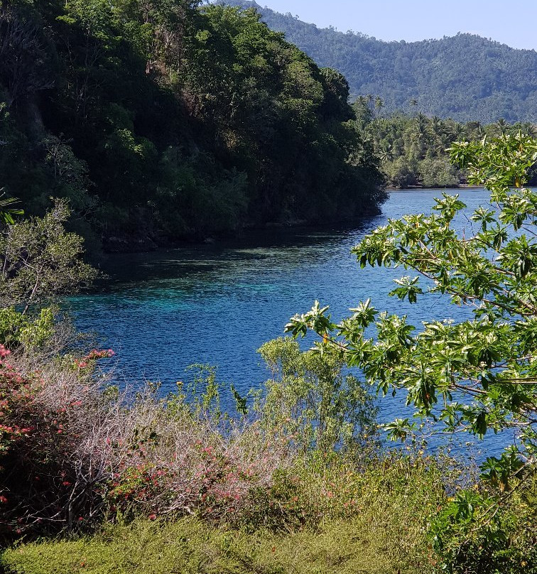 Lembeh Strait景点图片