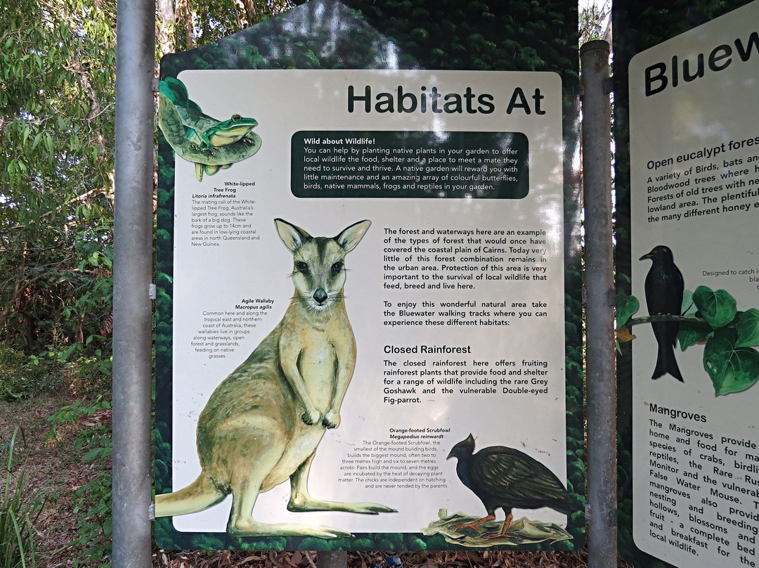 Earl Hill-三一海滩必去景点