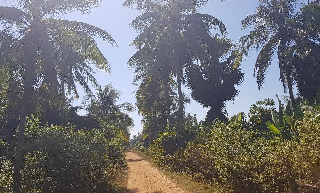 Cambodian Rural Discovery Tours景点图片