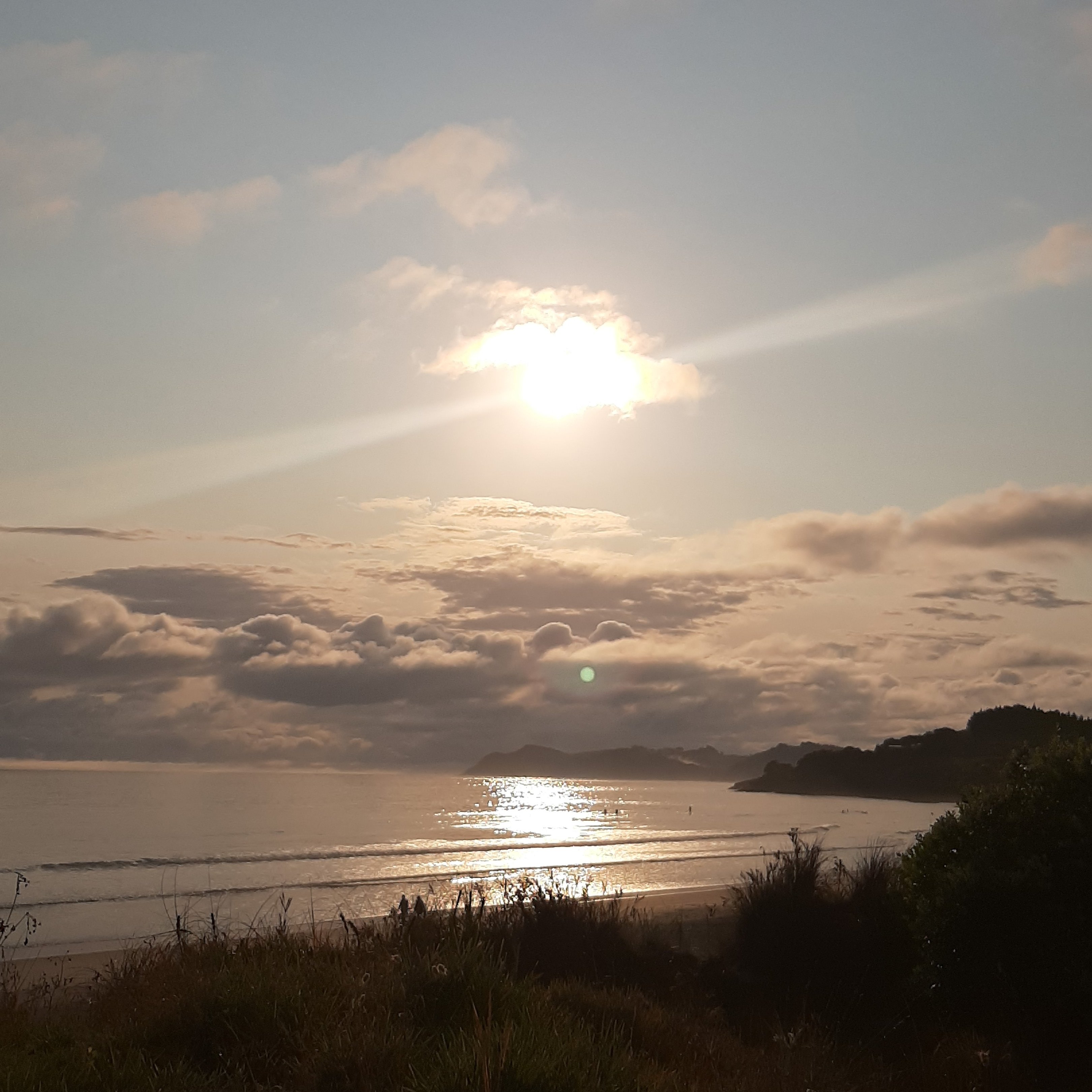 Waipu Cove Resort-官方