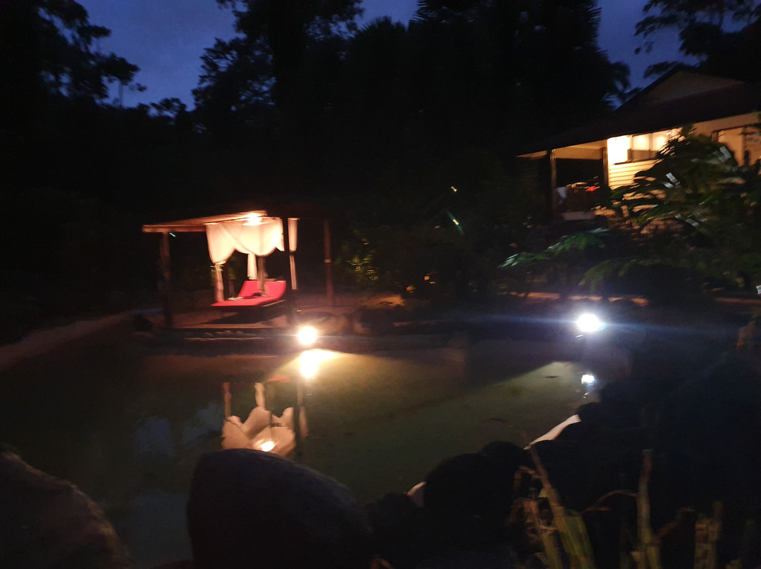 Misty Mountains Tropical Rainforest Retreat主图