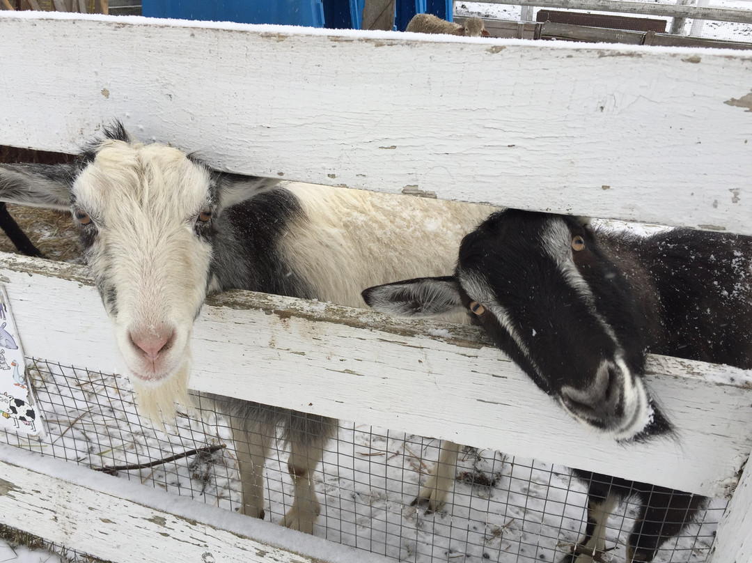 Bogdarnya Agricultural Touristic Complex-Krutovo必去景点