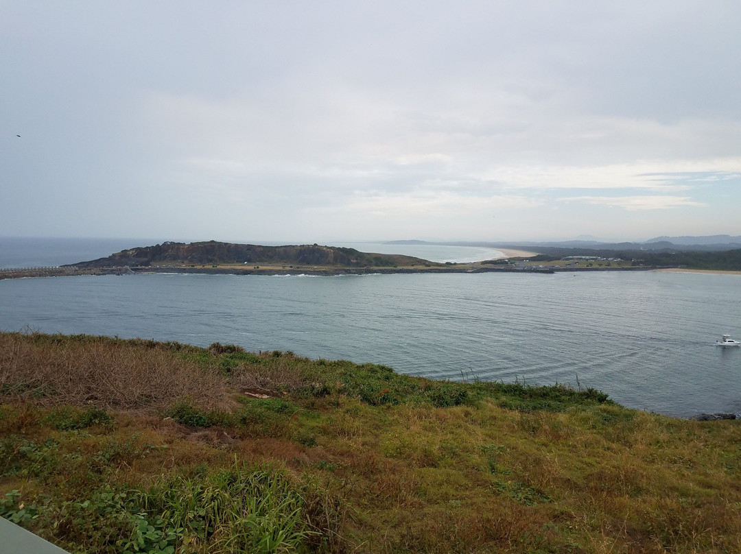 Coffs Harbour Muttonbird Island景点图片